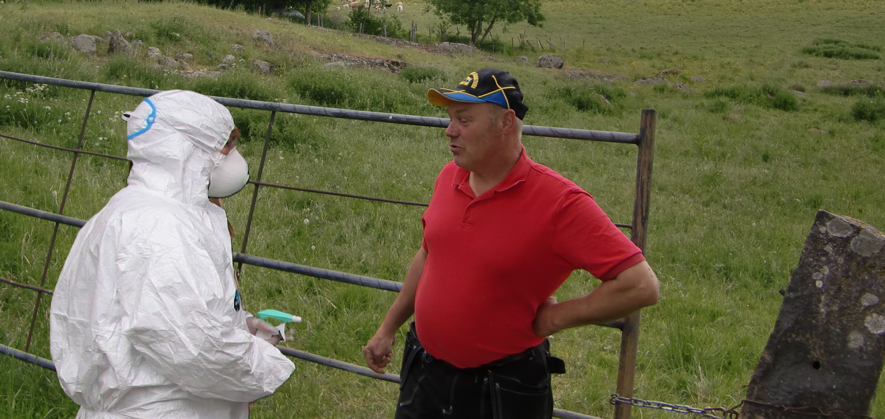 Bonden står vid en grind och pratar med veterinären i skyddsdräkt.