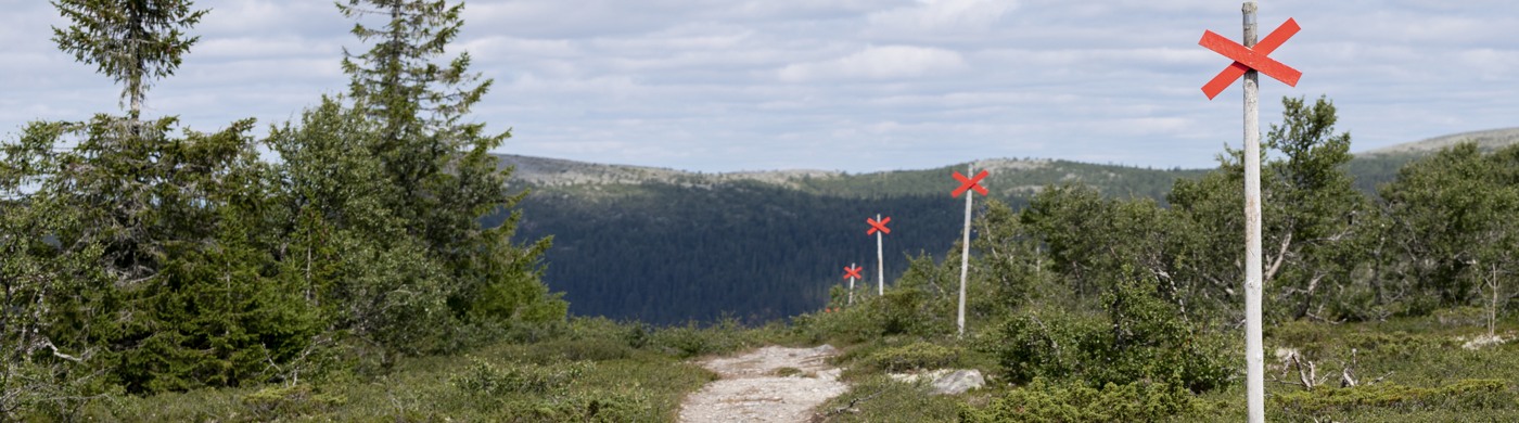 Röda ledkors märker ut en vandringsstig i fjällmiljö.